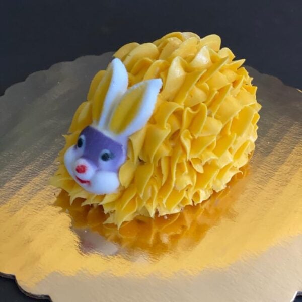 Cake, Mini Bunny
