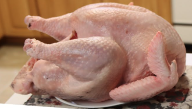 Broad Breasted Turkey
